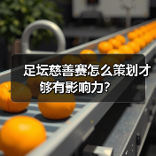 足坛慈善赛怎么策划才够有影响力?(图1) 足坛慈善赛怎么策划才够有影响力?(图1)