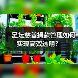 足坛慈善捐款管理如何实现高效透明？（图3）