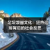 足坛饭圈文化真如你想象的那么健康吗？-林肯城足球俱乐部