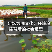 足坛饭圈文化:狂热追捧背后的社会反思(图2) 足坛饭圈文化:狂热追捧背后的社会反思(图2)