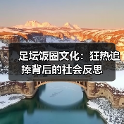 足坛饭圈文化:狂热追捧背后的社会反思(图3) 足坛饭圈文化:狂热追捧背后的社会反思(图3)