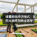 球星粉丝经济模式：如何从崇拜到商业巨擘？深度解析核心逻辑（图3）