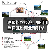 球星粉丝经济：如何用热情驱动商业新引擎