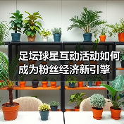 足坛球星互动活动如何成为粉丝经济新引擎
