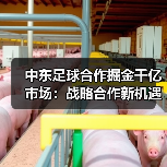 中东足球合作掘金千亿市场：战略合作新机遇