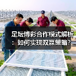 揭秘足坛博彩合作模式背后的秘密技巧，如何实现风险低收益高？-林肯城足球俱乐部