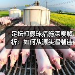 足坛打假球措施深度解析:如何从源头遏制违规行为(图3) 足坛打假球措施深度解析:如何从源头遏制违规行为(图3)