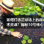 如何打造足球场上的战术灵魂？揭秘10号核心的养成秘诀（图3）