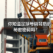你知道足球号码背后的秘密密码吗？（图3）